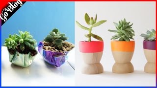 Más de 50 Ideas de macetas para plantas muy CREATIVAS