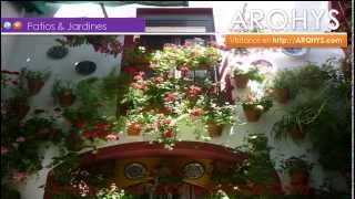 Jardines de patio