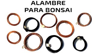 Alambre Para Bonsai Económico – Preparalo en casa – Tutorial