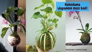 60+ Beautiful Kokedama (Japanese Moss Balls) Garden Ideas