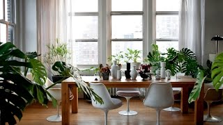 Perfectas decoraciones de interior con plantas