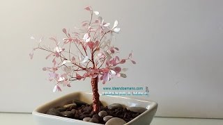 Como hacer un bonsai