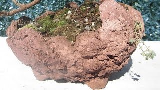 Hacer maceta casera bonsai, Kurama De JM QJ
