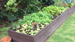COMO HACER UNA HUERTA ORGANICA EN CASA: 2) Preparando la tierra