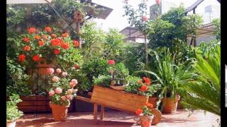 Jardines pequeños, terrazas, balcones decoracion. Video 2 de 3