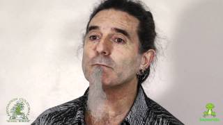 Bonsai – Composición de macetas