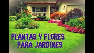 Plantas para Jardines Pequeños – Flores Hermosas