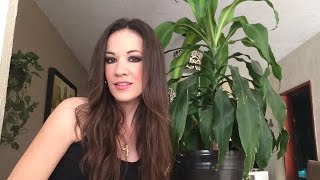 Como evitar que mueran  tus plantas de interior.