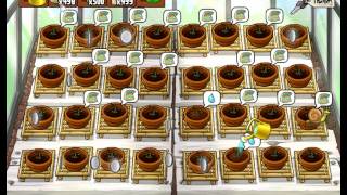 Regando mis plantas del jardin zen