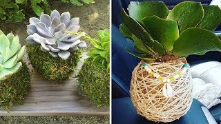 Nueva planta KOKEDAMA Ideas | Mejor Compilación KOKEDAMA #34 | Bola de musgo japonesa